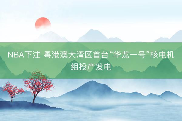NBA下注 粤港澳大湾区首台“华龙一号”核电机组投产发电