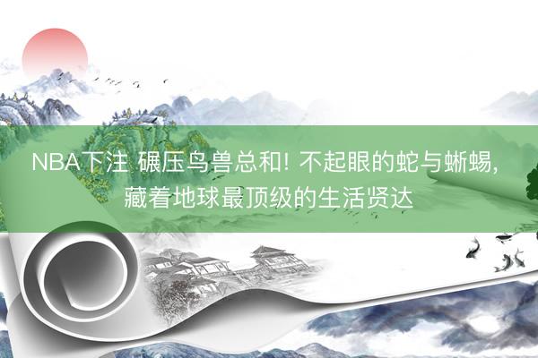 NBA下注 碾压鸟兽总和! 不起眼的蛇与蜥蜴， 藏着地球最顶级的生活贤达