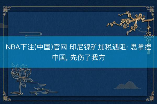 NBA下注(中国)官网 印尼镍矿加税遇阻: 思拿捏中国， 先伤了我方