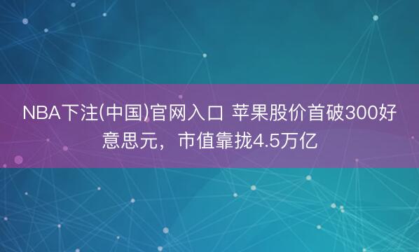NBA下注(中国)官网入口 苹果股价首破300好意思元，市值靠拢4.5万亿
