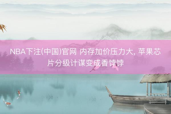 NBA下注(中国)官网 内存加价压力大， 苹果芯片分级计谋变成香饽饽