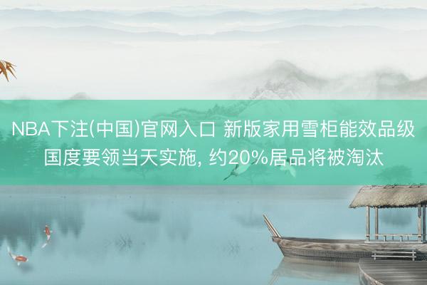 NBA下注(中国)官网入口 新版家用雪柜能效品级国度要领当天实施, 约20%居品将被淘汰
